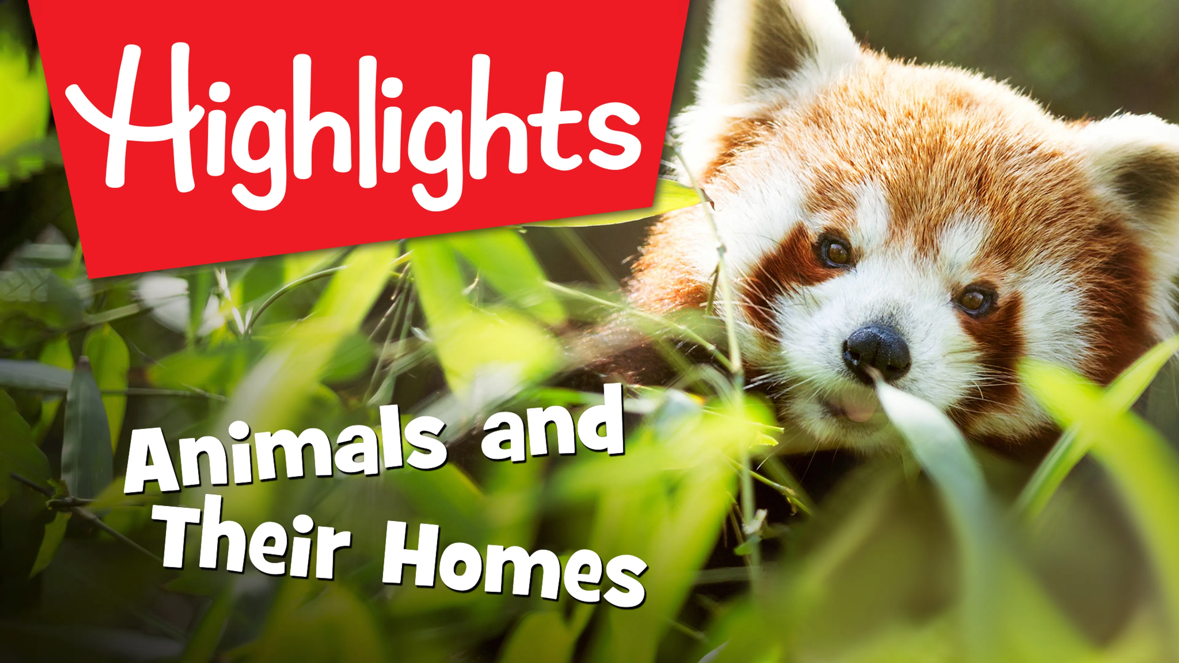 Highlights - Animals and Their Homes poster